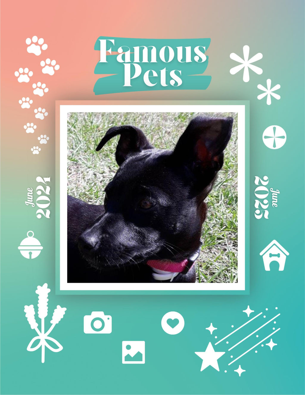 Famous Pets: June 2024-June 2025 Wall Calendar (Pre-Order)