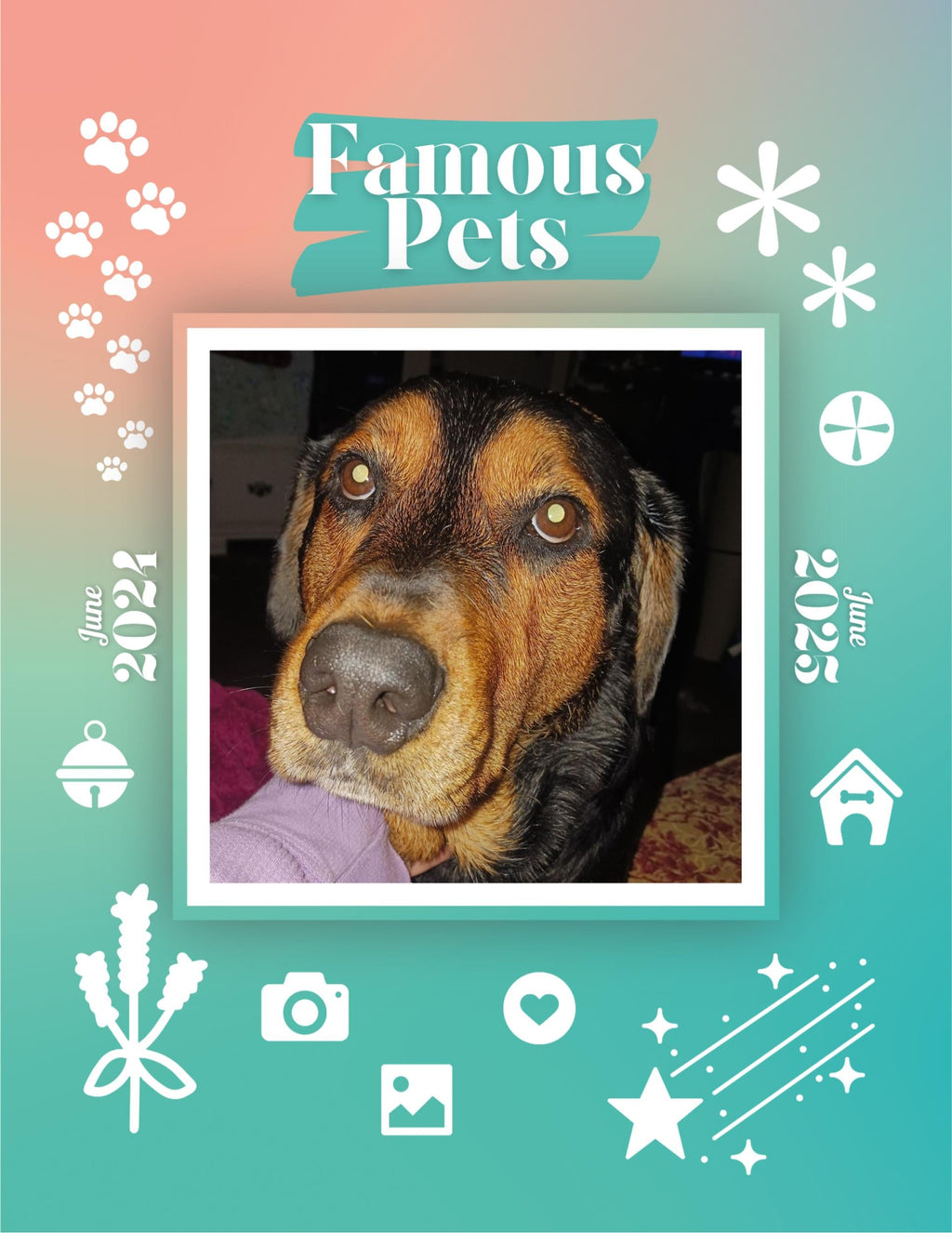 Famous Pets: June 2024-June 2025 Wall Calendar (Pre-Order)