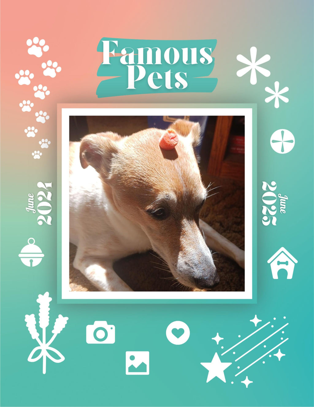 Famous Pets: June 2024-June 2025 Wall Calendar (Pre-Order)