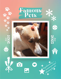 Famous Pets: June 2024-June 2025 Wall Calendar (Pre-Order)