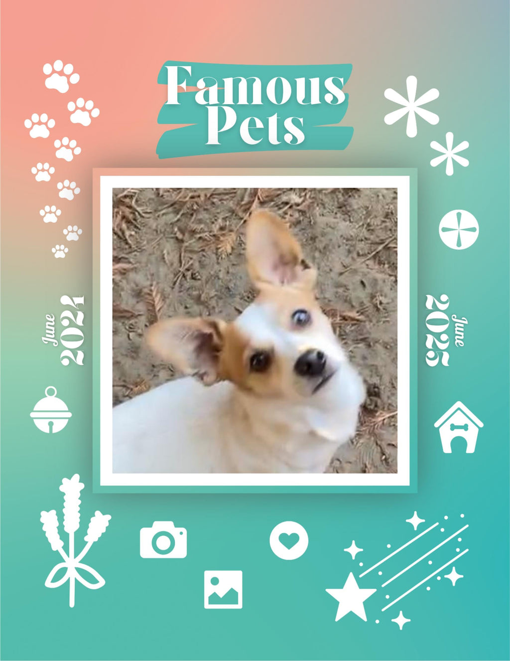 Famous Pets: June 2024-June 2025 Wall Calendar (Pre-Order)