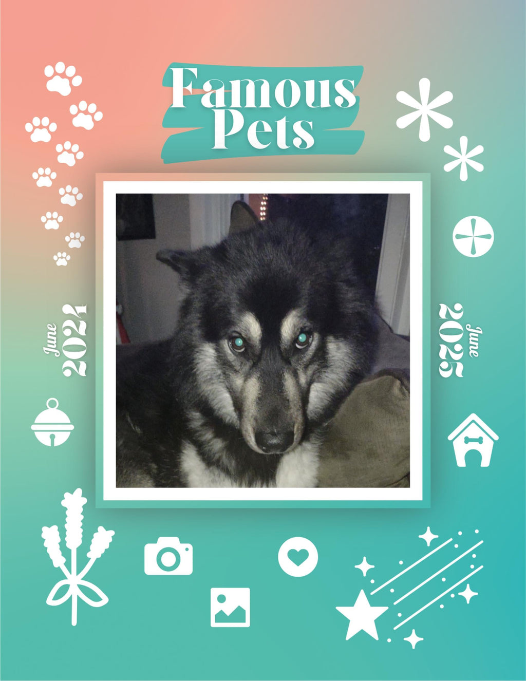Famous Pets: June 2024-June 2025 Wall Calendar (Pre-Order)