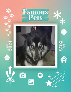 Famous Pets: June 2024-June 2025 Wall Calendar (Pre-Order)