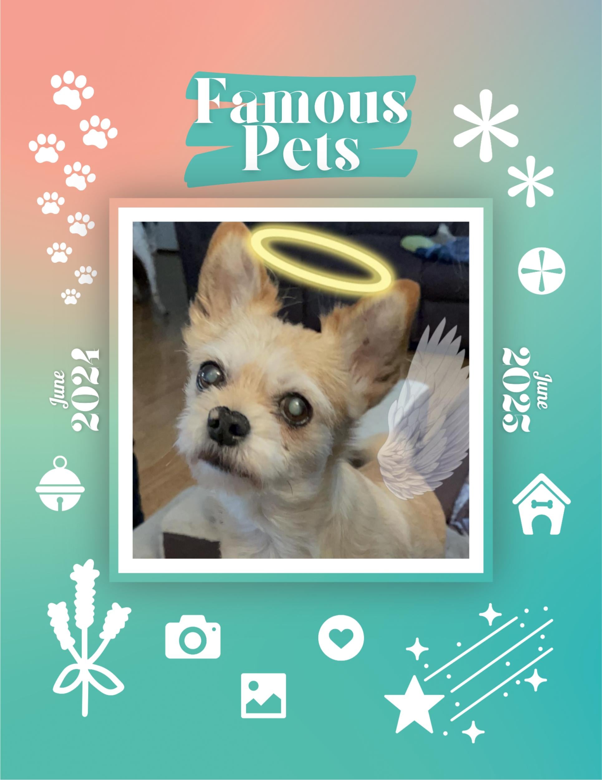 Famous Pets: June 2024-June 2025 Wall Calendar (Pre-Order)