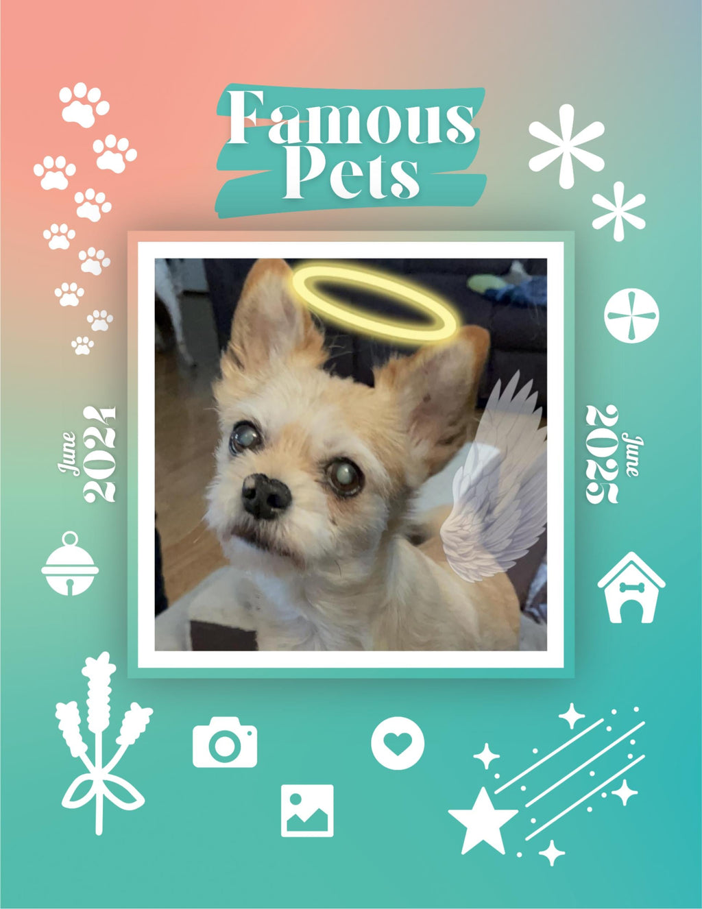 Famous Pets: June 2024-June 2025 Wall Calendar (Pre-Order)