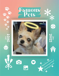 Famous Pets: June 2024-June 2025 Wall Calendar (Pre-Order)