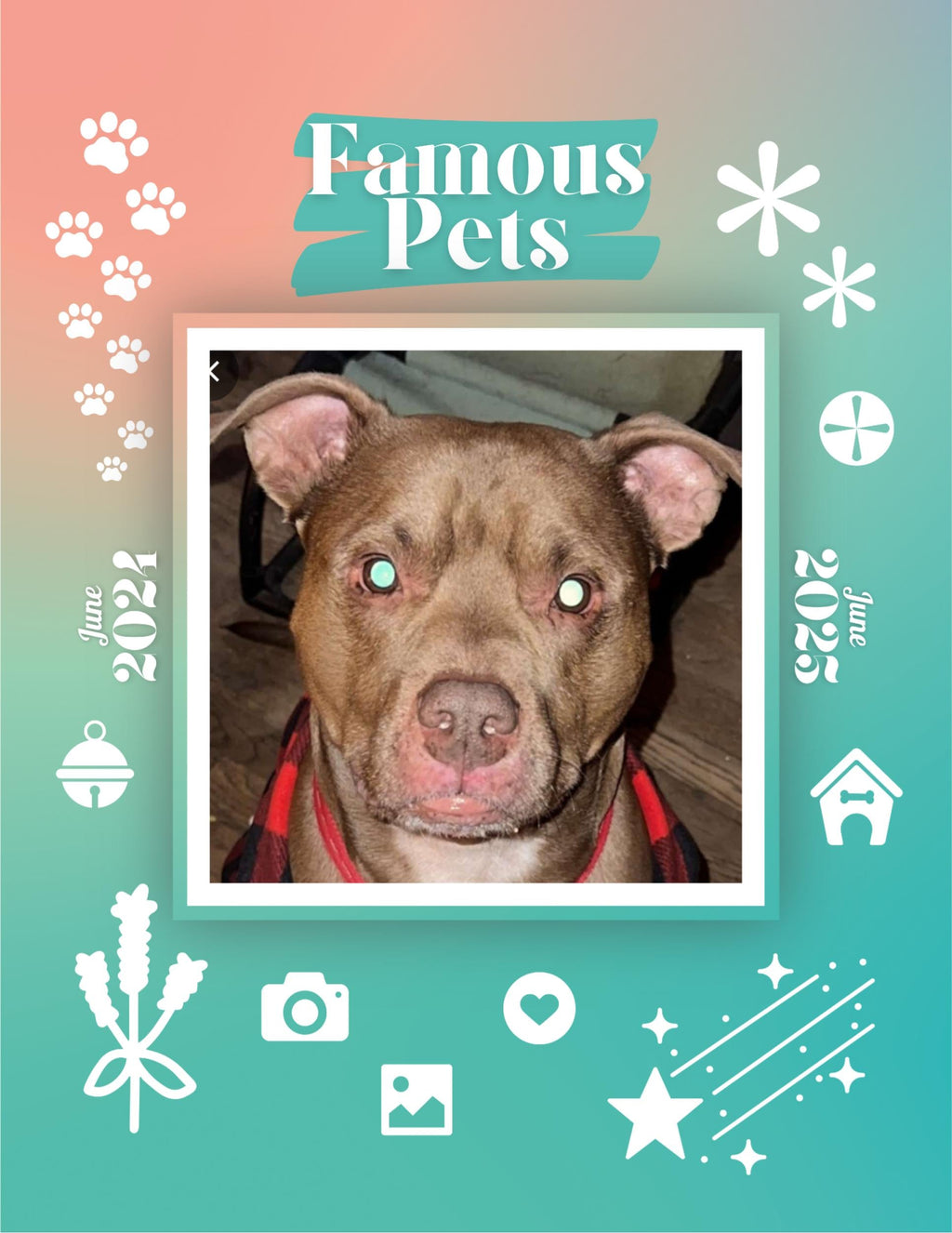 Famous Pets: June 2024-June 2025 Wall Calendar (Pre-Order)