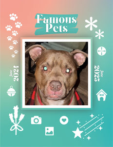 Famous Pets: June 2024-June 2025 Wall Calendar (Pre-Order)