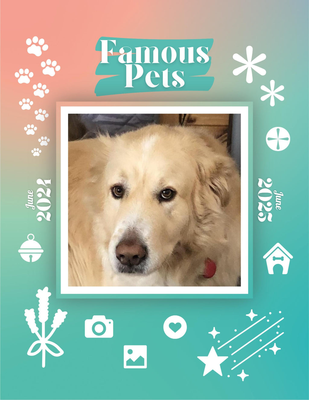 Famous Pets: June 2024-June 2025 Wall Calendar (Pre-Order)