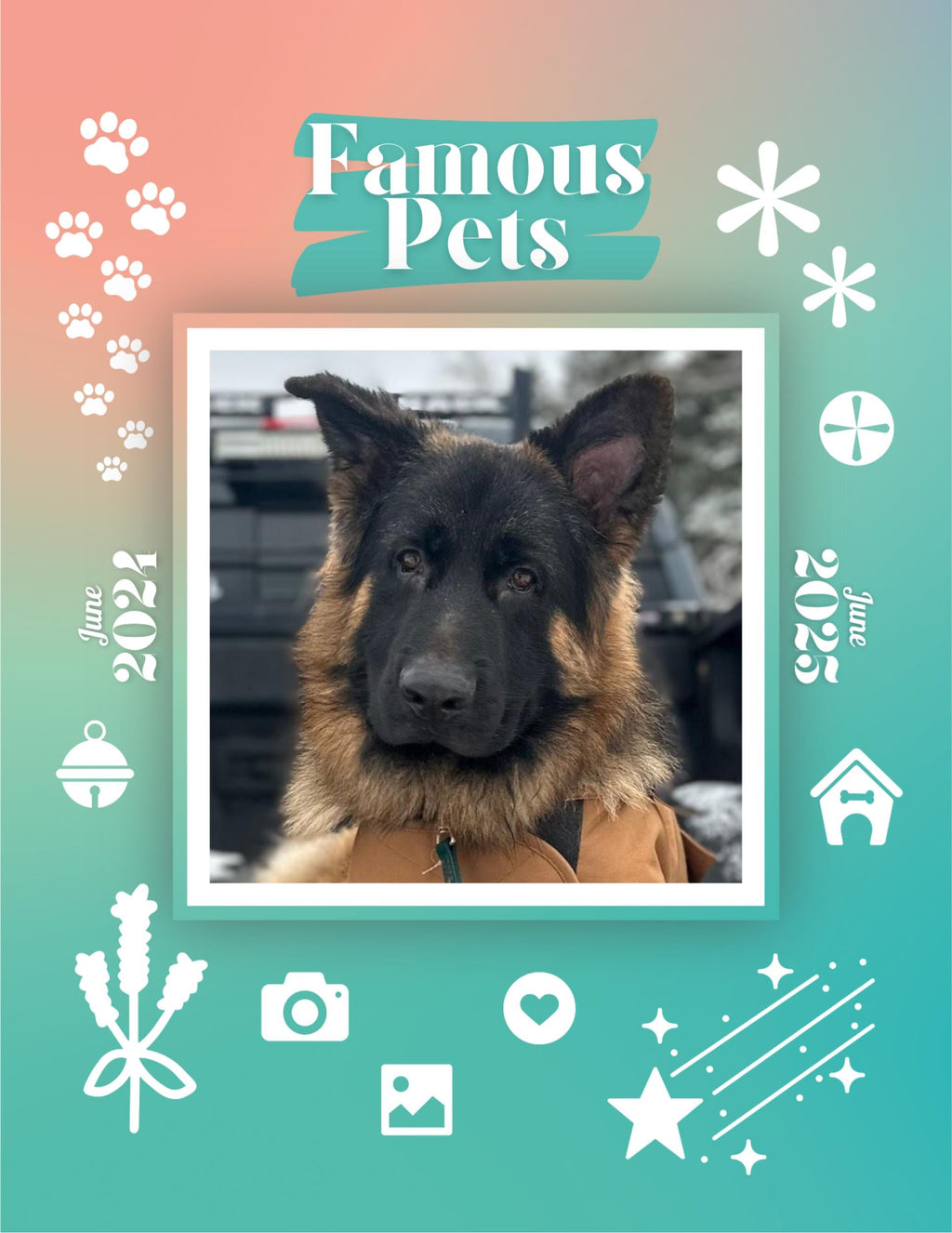 Famous Pets: June 2024-June 2025 Wall Calendar (Pre-Order)