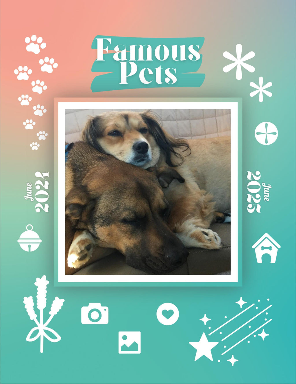 Famous Pets: June 2024-June 2025 Wall Calendar (Pre-Order)