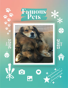 Famous Pets: June 2024-June 2025 Wall Calendar (Pre-Order)