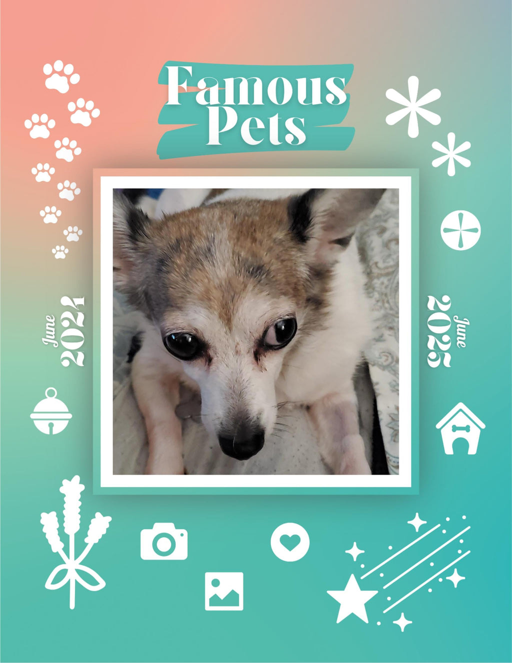 Famous Pets: June 2024-June 2025 Wall Calendar (Pre-Order)