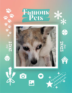 Famous Pets: June 2024-June 2025 Wall Calendar (Pre-Order)
