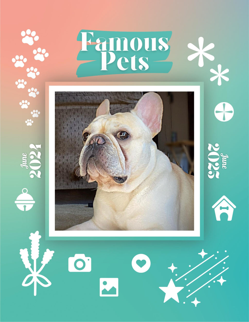 Famous Pets: June 2024-June 2025 Wall Calendar (Pre-Order)