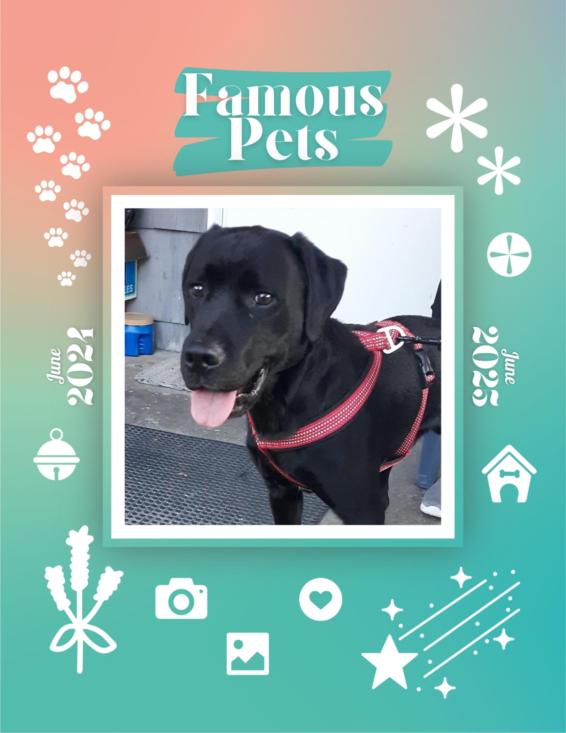 Famous Pets: June 2024-June 2025 Wall Calendar (Pre-Order)