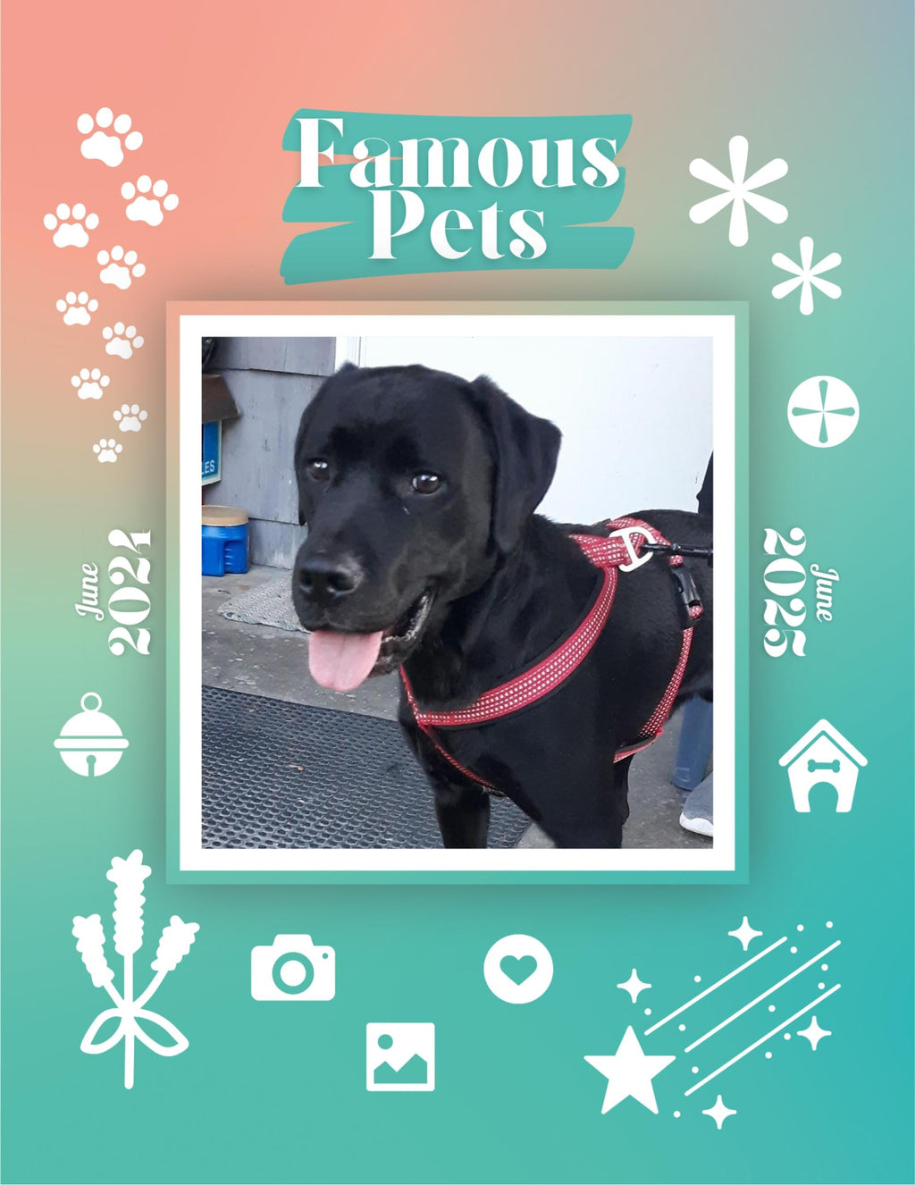 Famous Pets: June 2024-June 2025 Wall Calendar (Pre-Order)