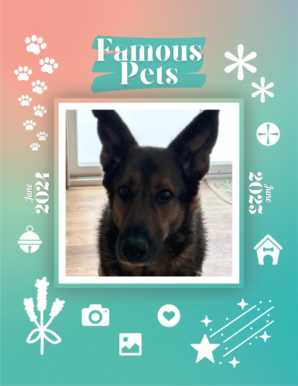 Famous Pets: June 2024-June 2025 Wall Calendar (Pre-Order)