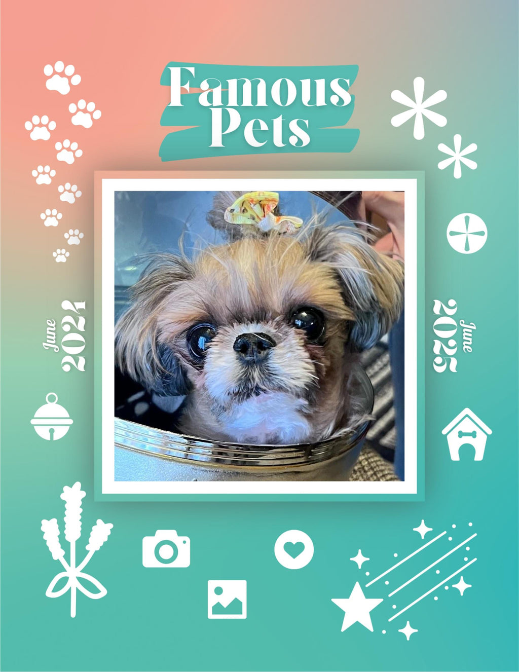 Famous Pets: June 2024-June 2025 Wall Calendar (Pre-Order)
