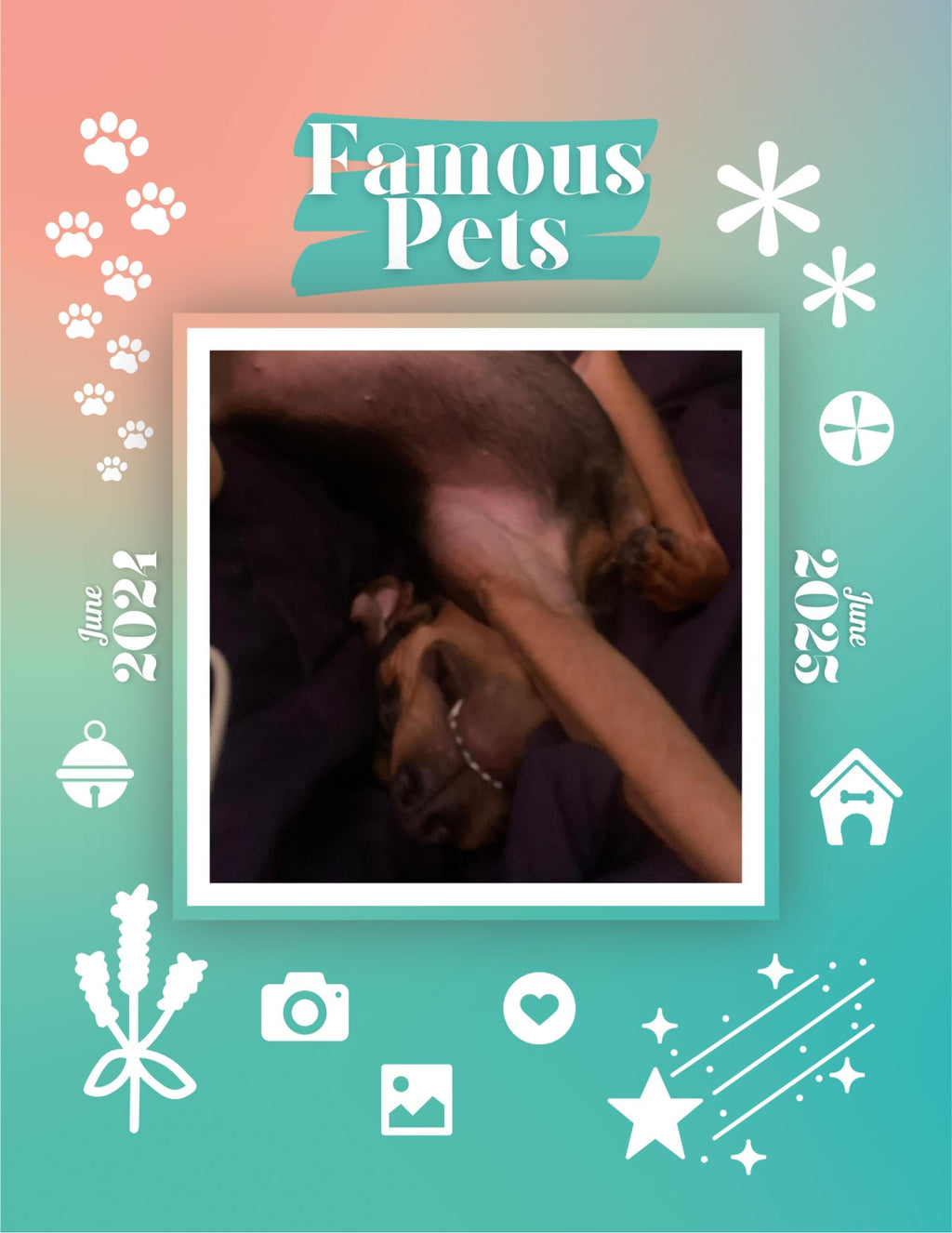 Famous Pets: June 2024-June 2025 Wall Calendar (Pre-Order)