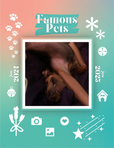 Famous Pets: June 2024-June 2025 Wall Calendar (Pre-Order)