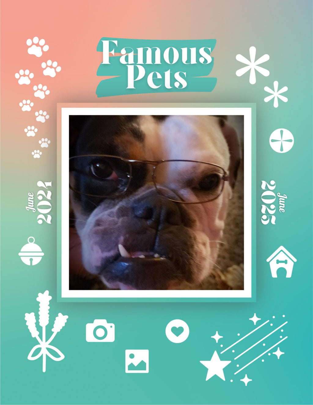 Famous Pets: June 2024-June 2025 Wall Calendar (Pre-Order)