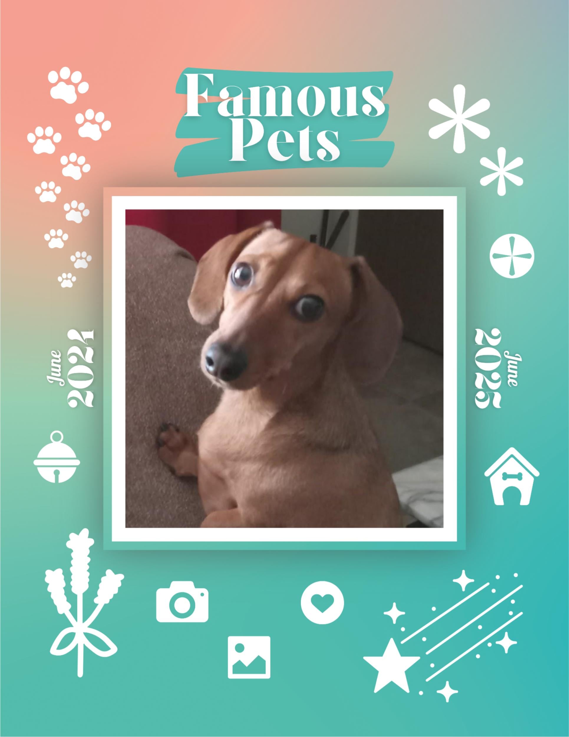 Famous Pets: June 2024-June 2025 Wall Calendar (Pre-Order)