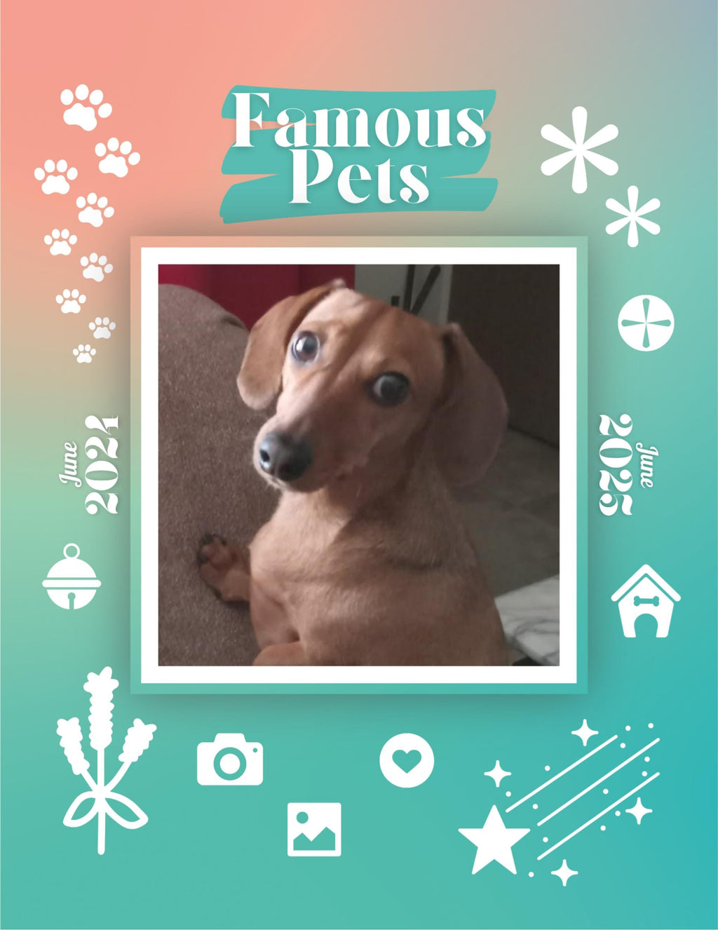 Famous Pets: June 2024-June 2025 Wall Calendar (Pre-Order)