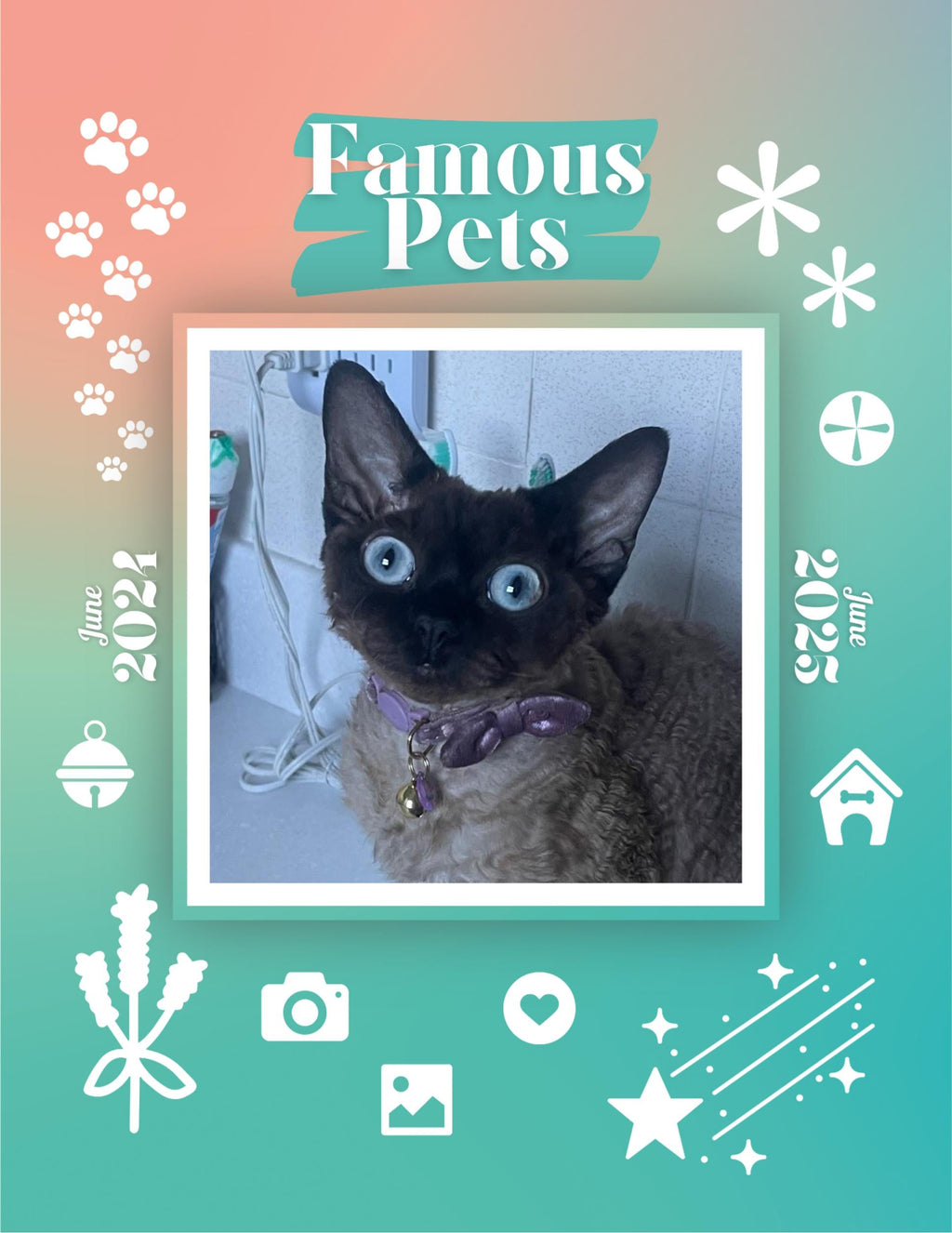 Famous Pets: June 2024-June 2025 Wall Calendar (Pre-Order)