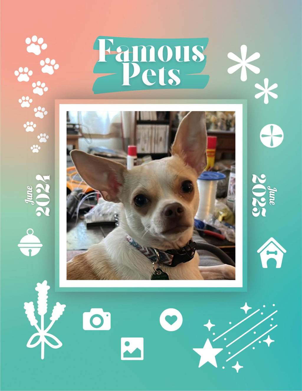 Famous Pets: June 2024-June 2025 Wall Calendar (Pre-Order)