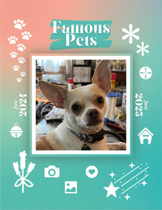 Famous Pets: June 2024-June 2025 Wall Calendar (Pre-Order)