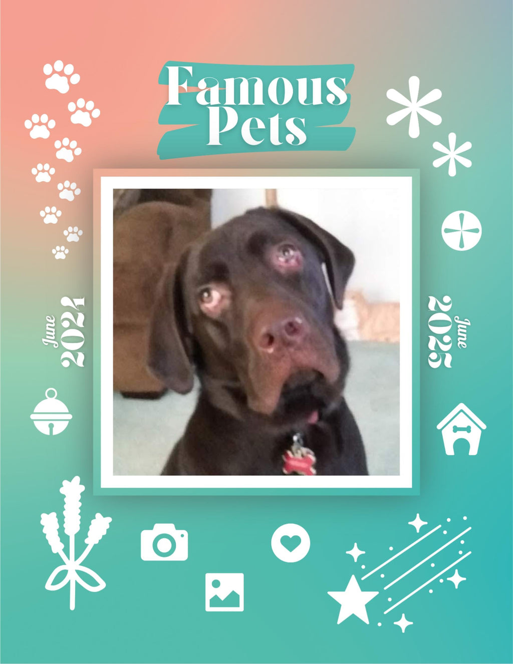 Famous Pets: June 2024-June 2025 Wall Calendar (Pre-Order)