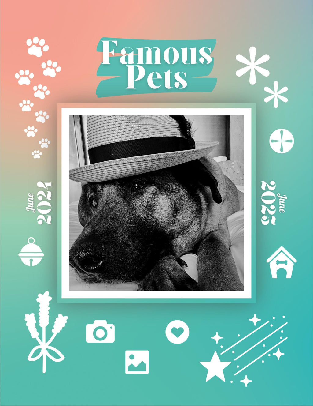 Famous Pets: June 2024-June 2025 Wall Calendar (Pre-Order)