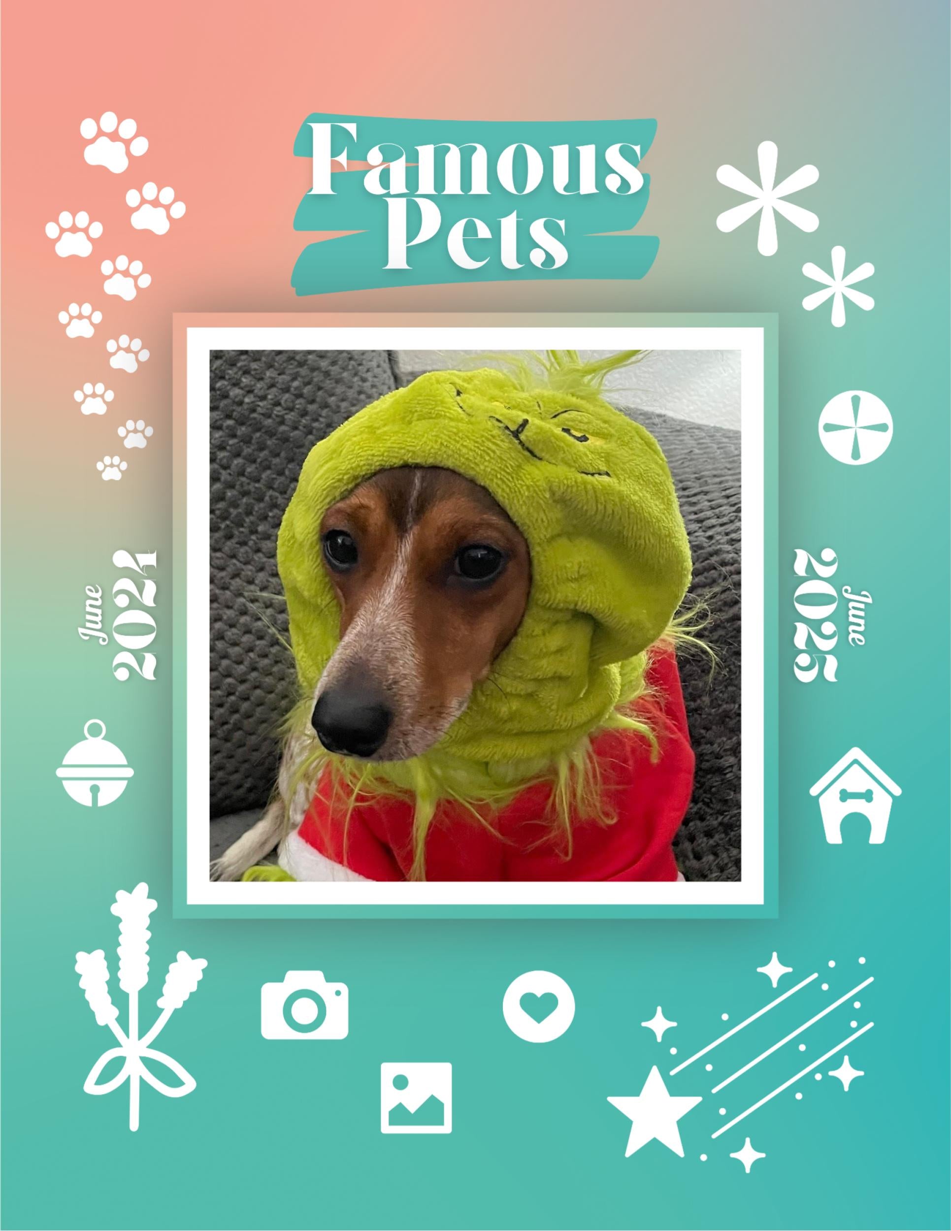 Famous Pets: June 2024-June 2025 Wall Calendar (Pre-Order)