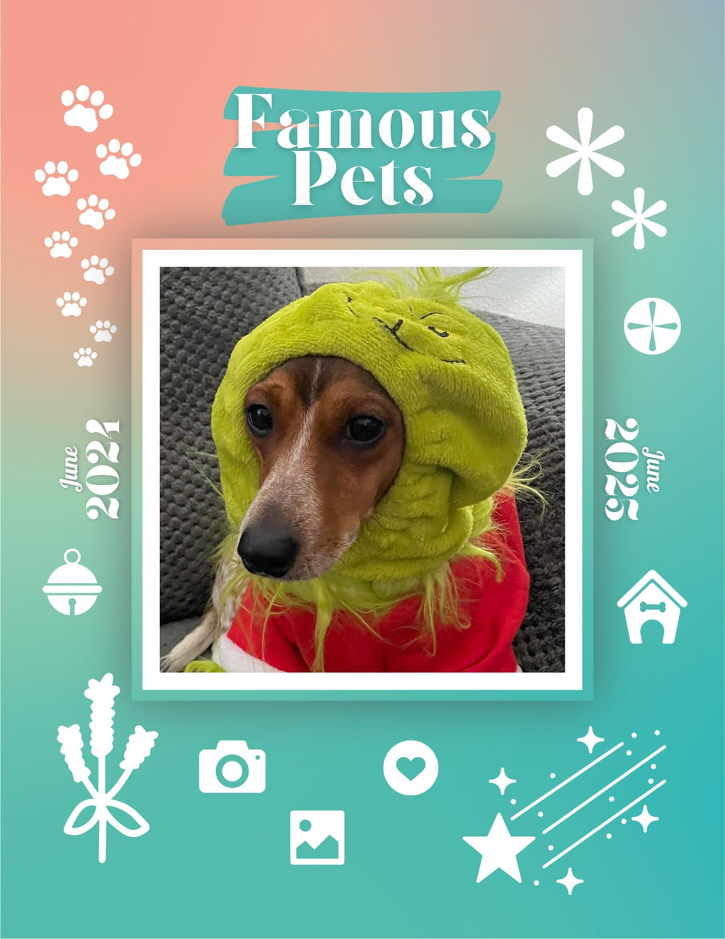 Famous Pets: June 2024-June 2025 Wall Calendar (Pre-Order)