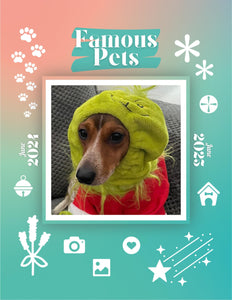 Famous Pets: June 2024-June 2025 Wall Calendar (Pre-Order)