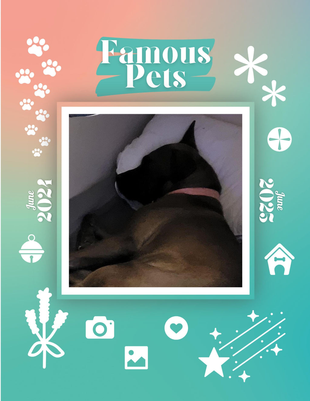Famous Pets: June 2024-June 2025 Wall Calendar (Pre-Order)