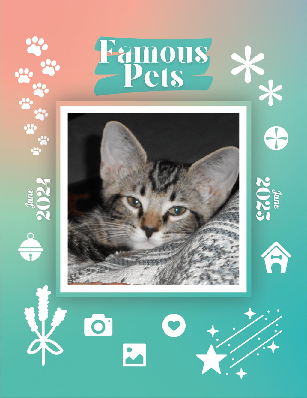Famous Pets: June 2024-June 2025 Wall Calendar (Pre-Order)
