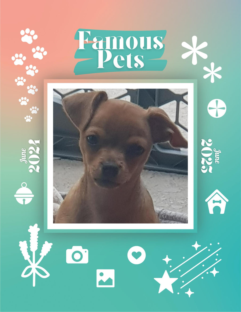 Famous Pets: June 2024-June 2025 Wall Calendar (Pre-Order)
