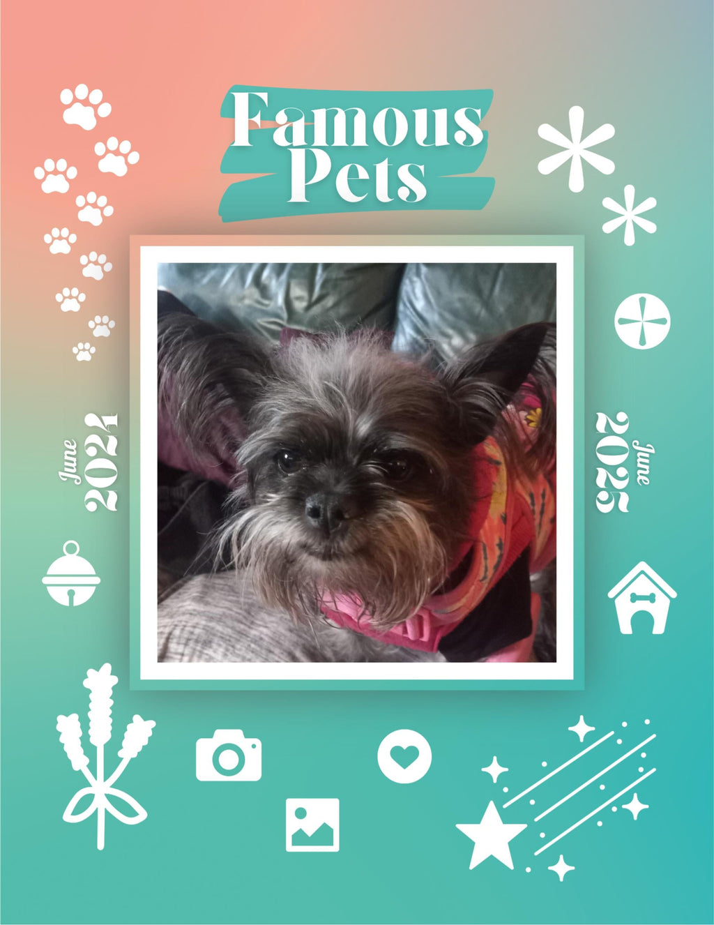 Famous Pets: June 2024-June 2025 Wall Calendar (Pre-Order)