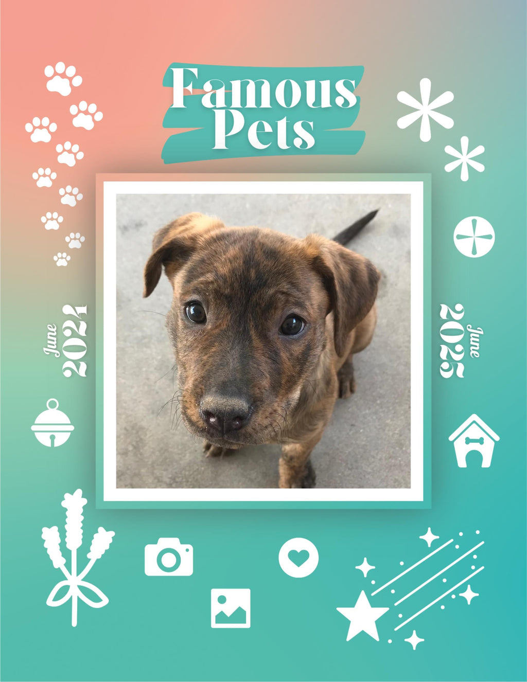 Famous Pets: June 2024-June 2025 Wall Calendar (Pre-Order)