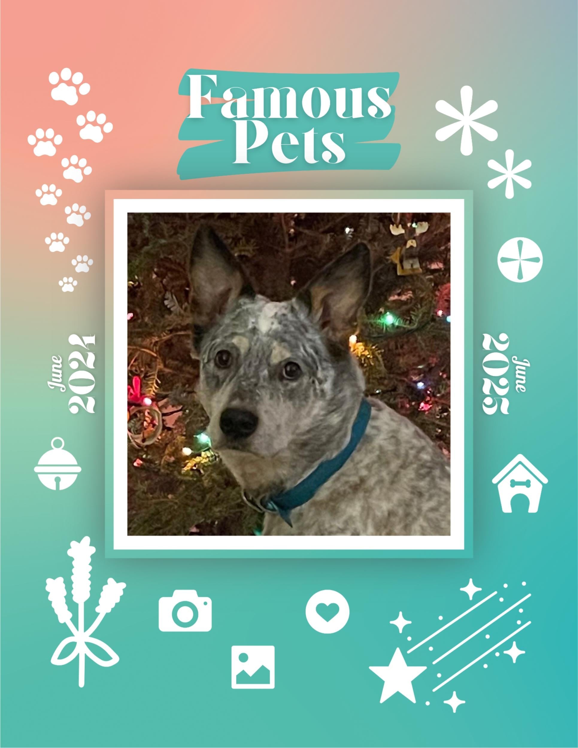 Famous Pets: June 2024-June 2025 Wall Calendar (Pre-Order)