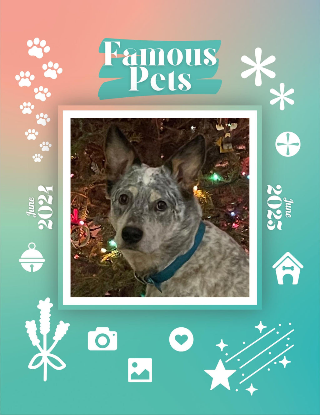 Famous Pets: June 2024-June 2025 Wall Calendar (Pre-Order)