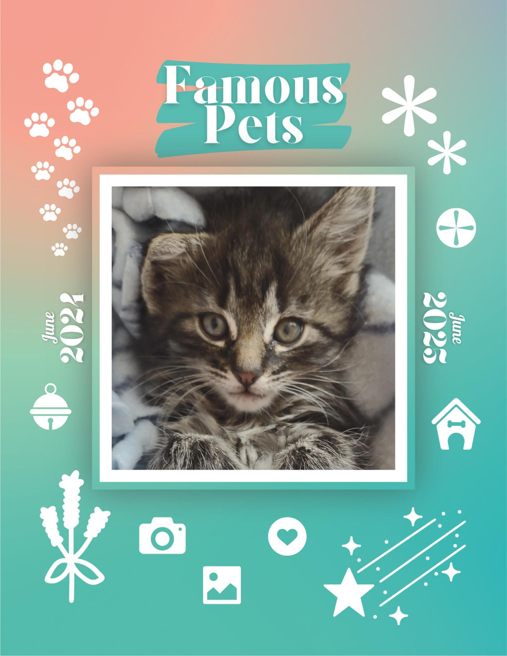 Famous Pets: June 2024-June 2025 Wall Calendar (Pre-Order)