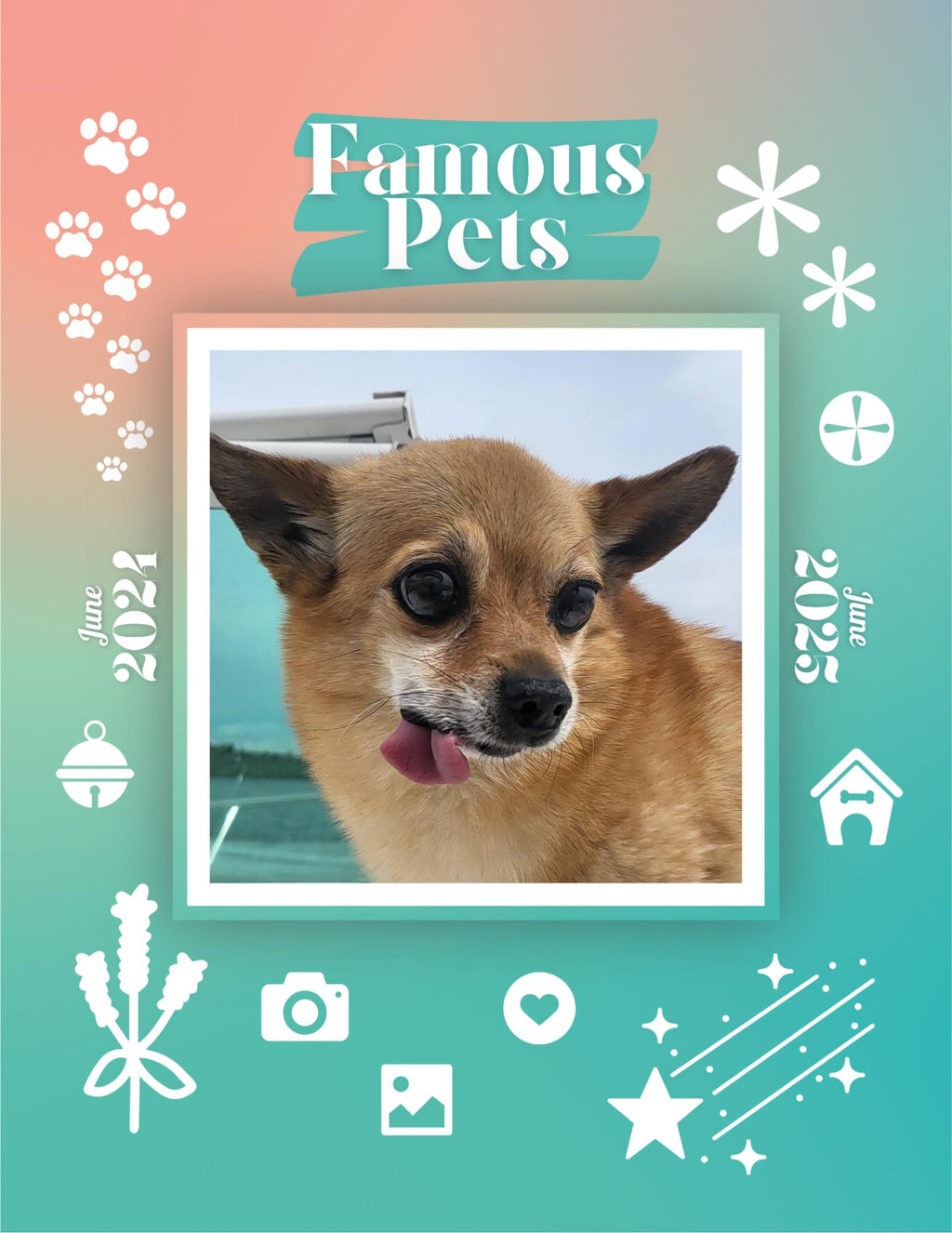 Famous Pets: June 2024-June 2025 Wall Calendar (Pre-Order)