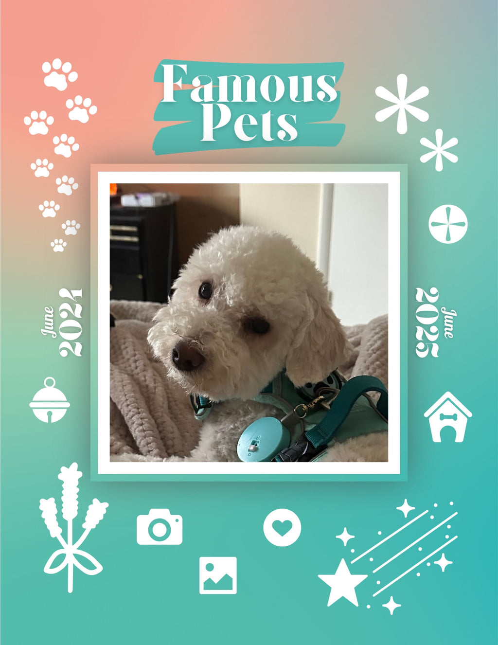 Famous Pets: June 2024-June 2025 Wall Calendar (Pre-Order)