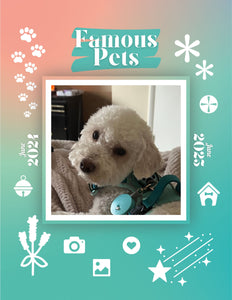 Famous Pets: June 2024-June 2025 Wall Calendar (Pre-Order)