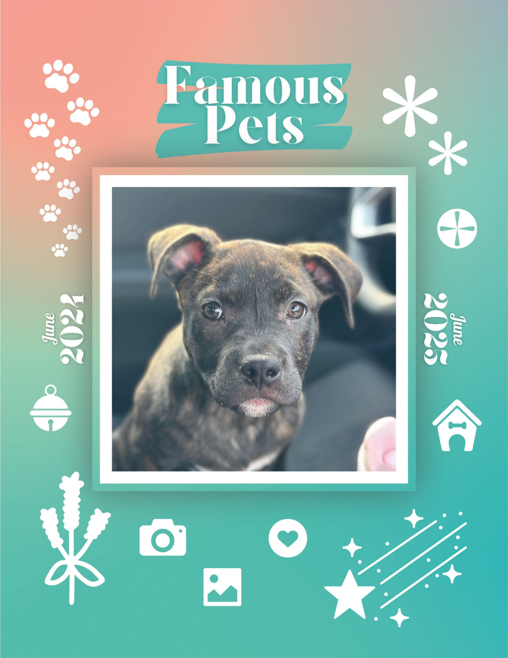 Famous Pets: June 2024-June 2025 Wall Calendar (Pre-Order)