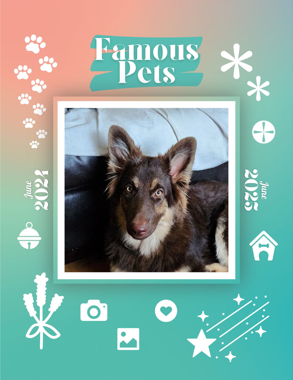 Famous Pets: June 2024-June 2025 Wall Calendar (Pre-Order)