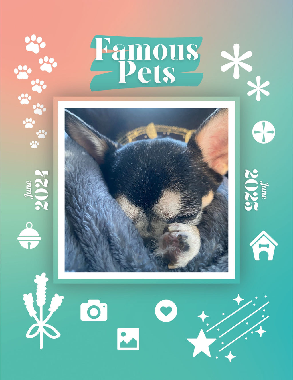 Famous Pets: June 2024-June 2025 Wall Calendar (Pre-Order)